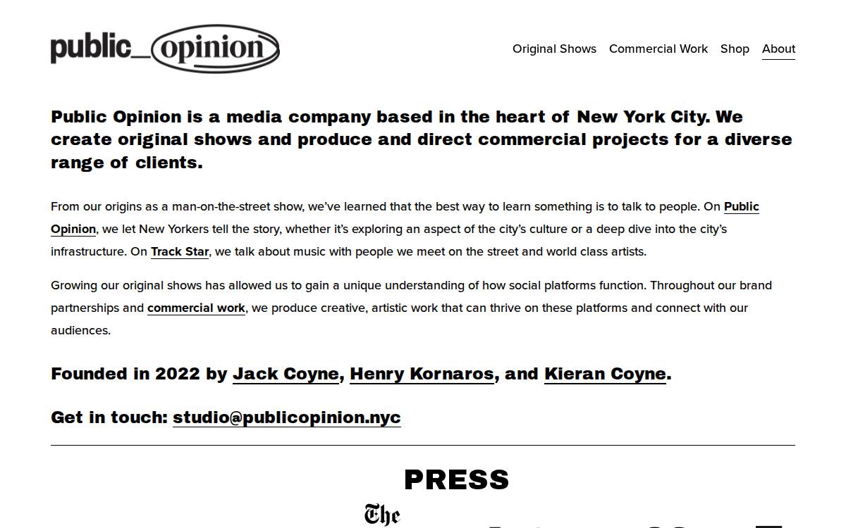 Public Opinion website preview