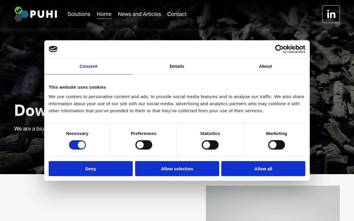 Puhi website preview