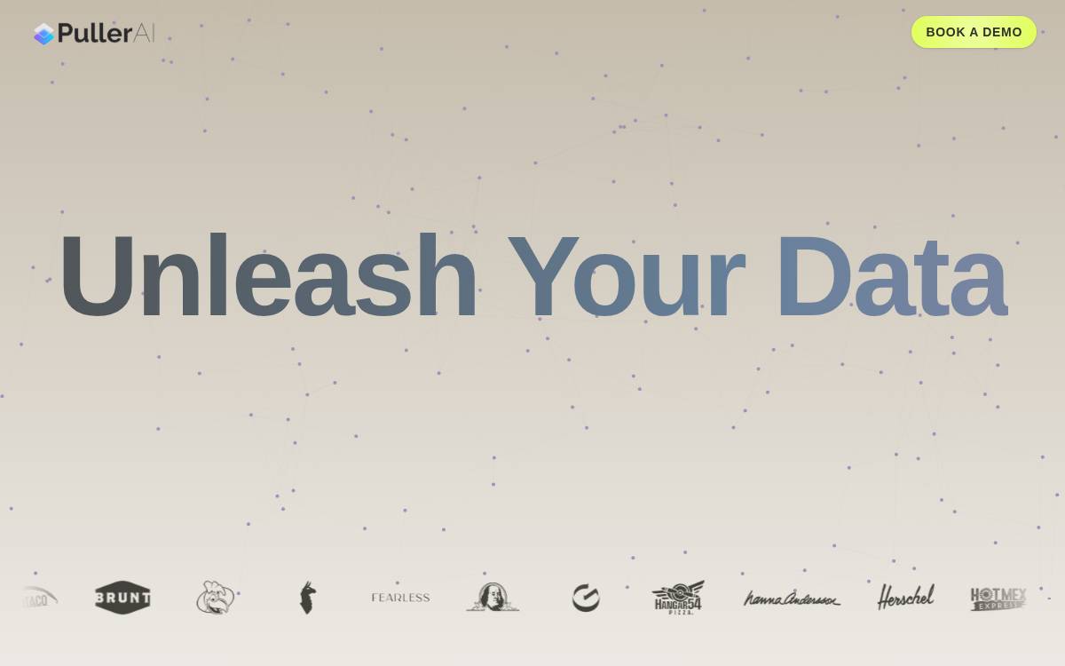 Puller Data Superpowers for Retailers website preview
