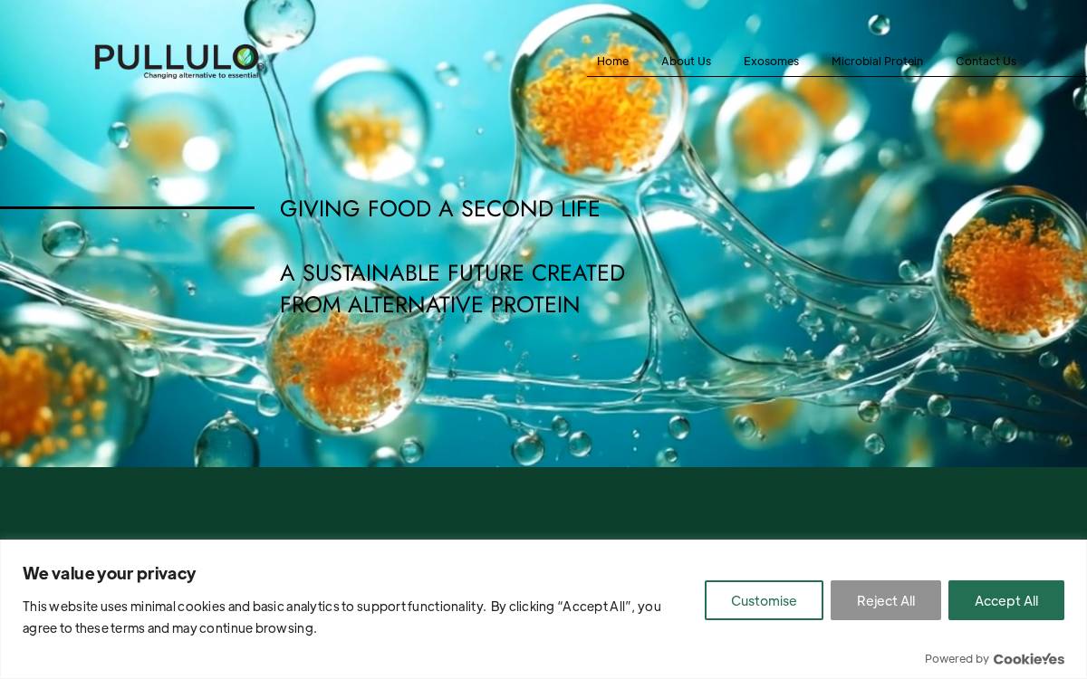 Pullulo website preview