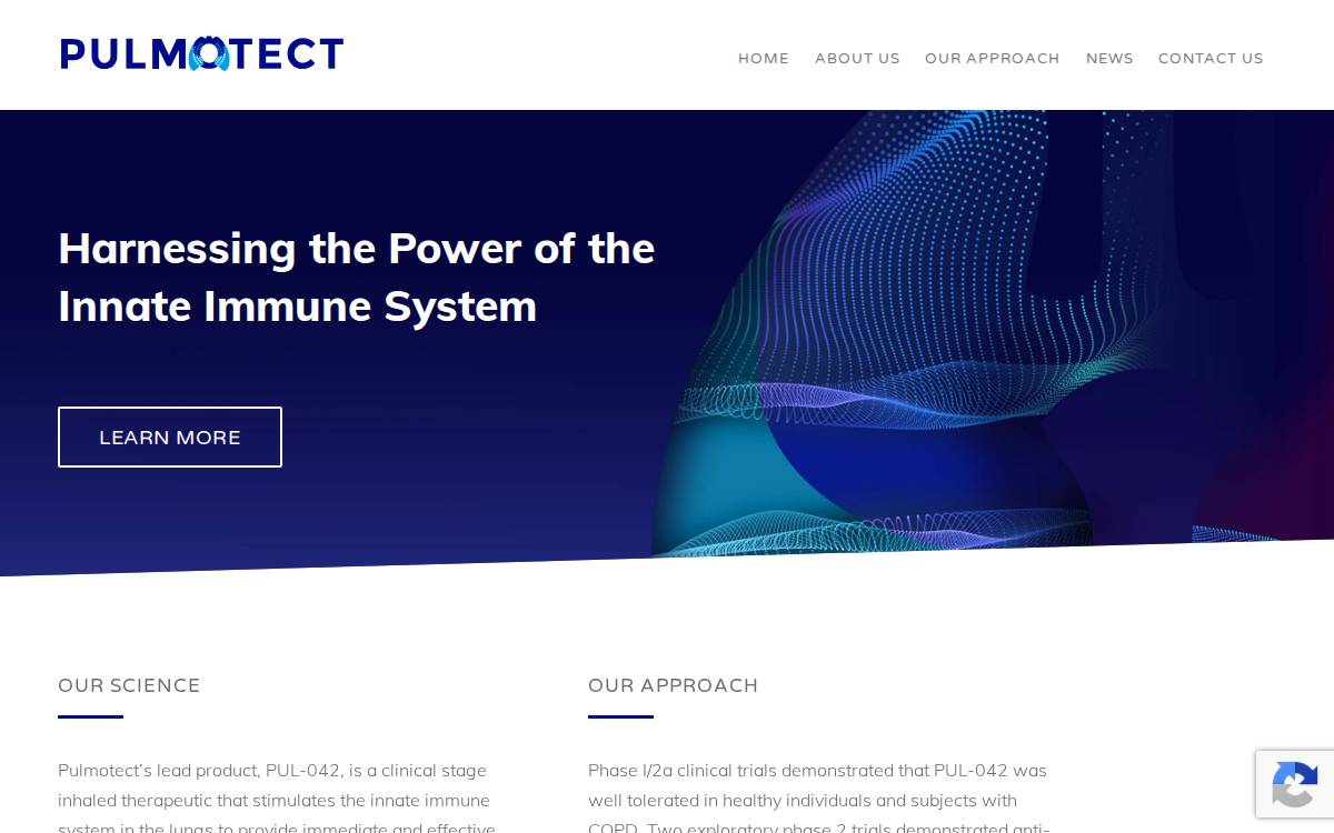 Pulmotect website preview