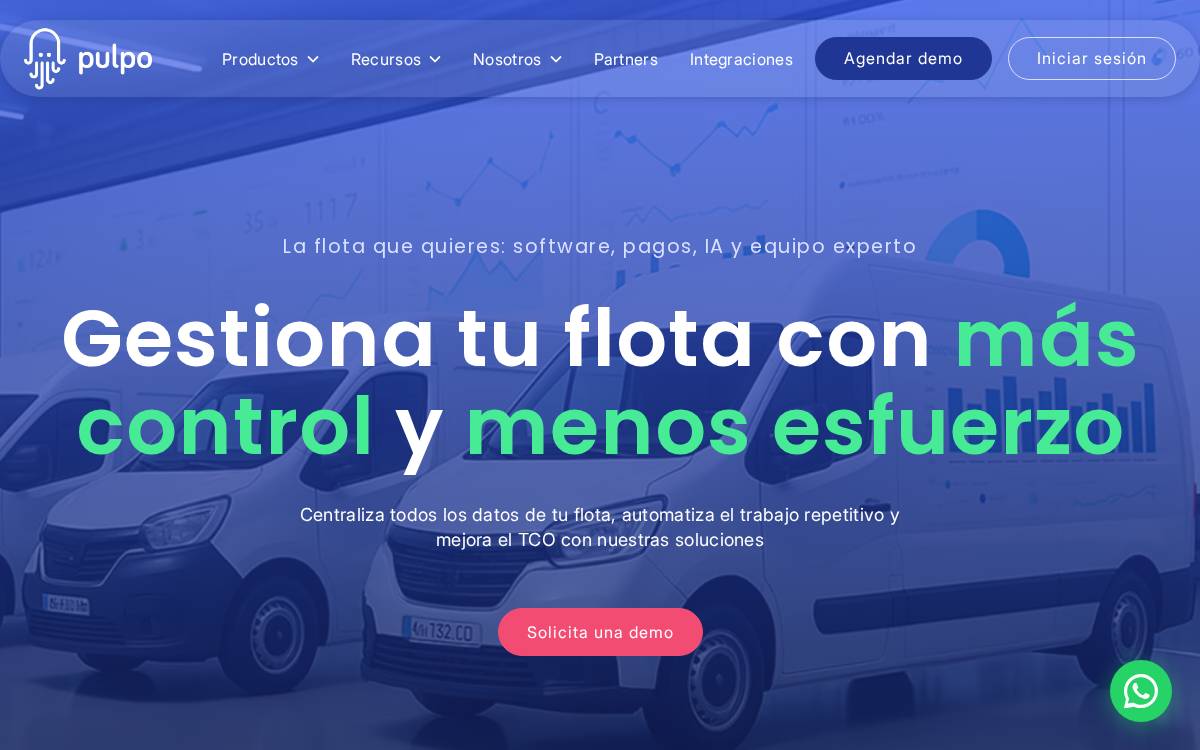 Pulpo website preview