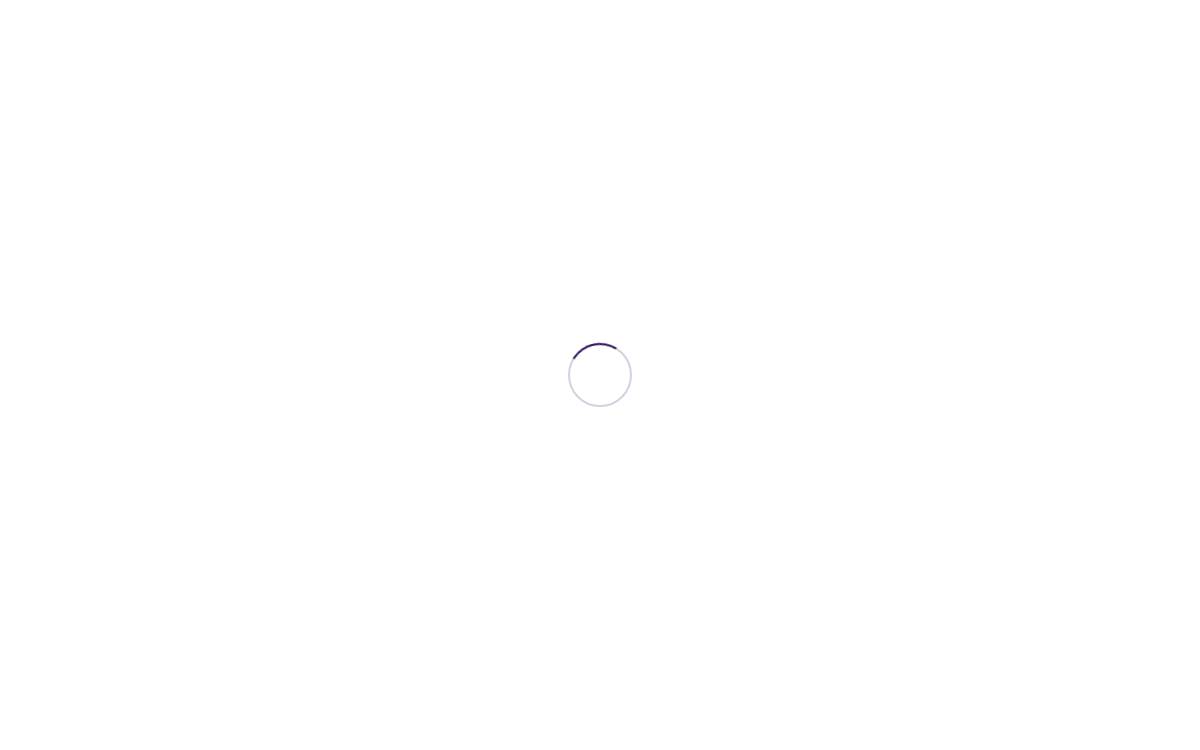 Pulpo AR website preview