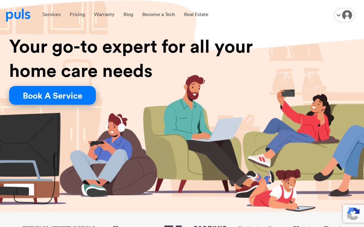 Puls website preview