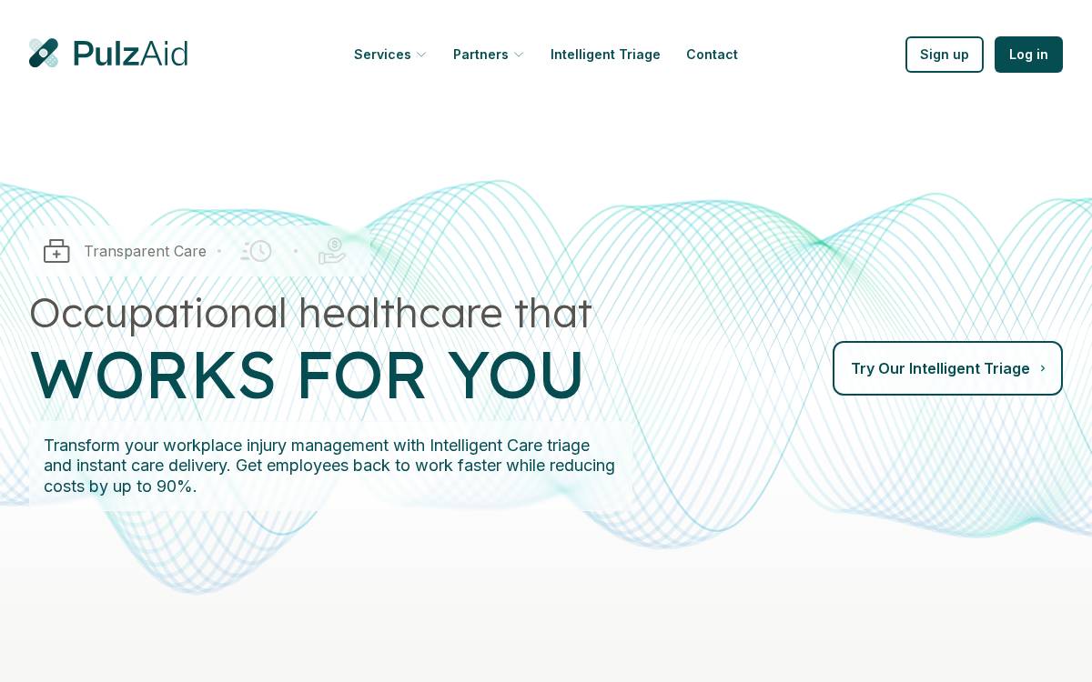 PulzAid website preview