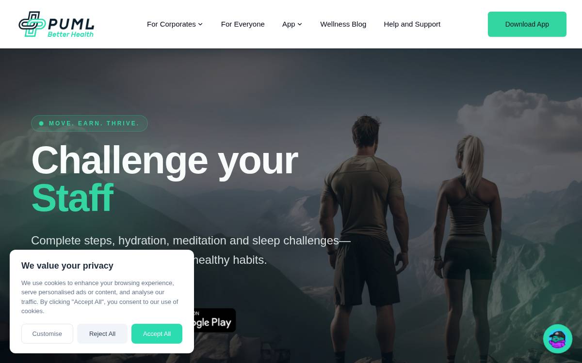 PUML website preview