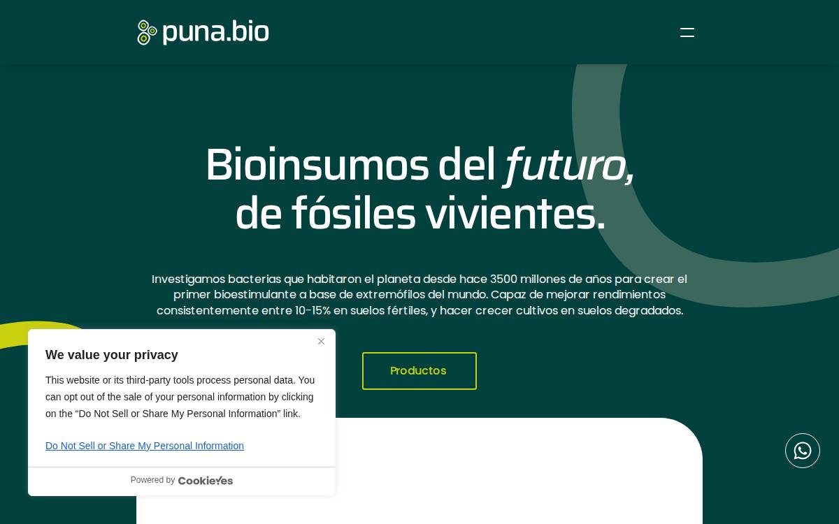 Puna Bio website preview