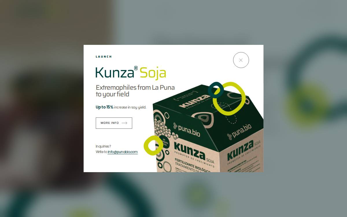 Puna website preview
