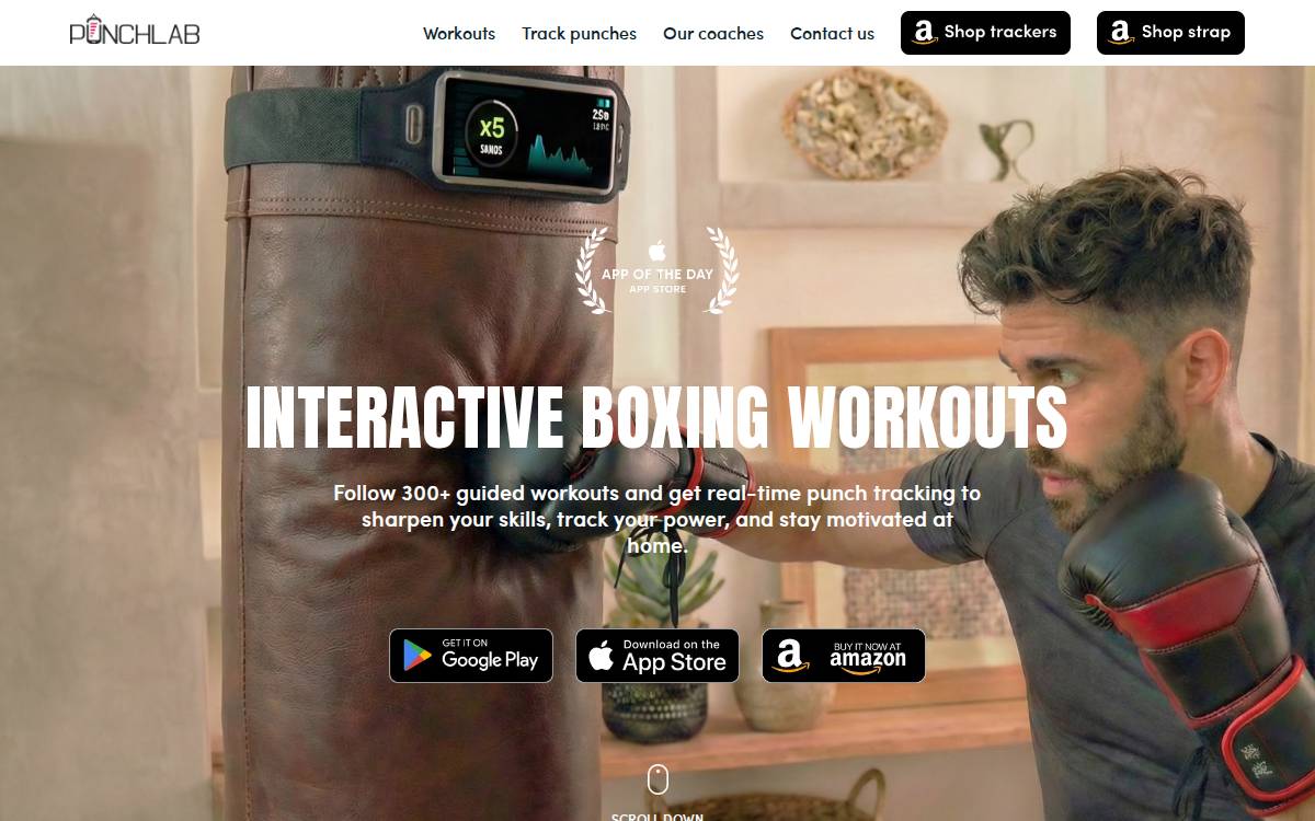 Punchlab website preview