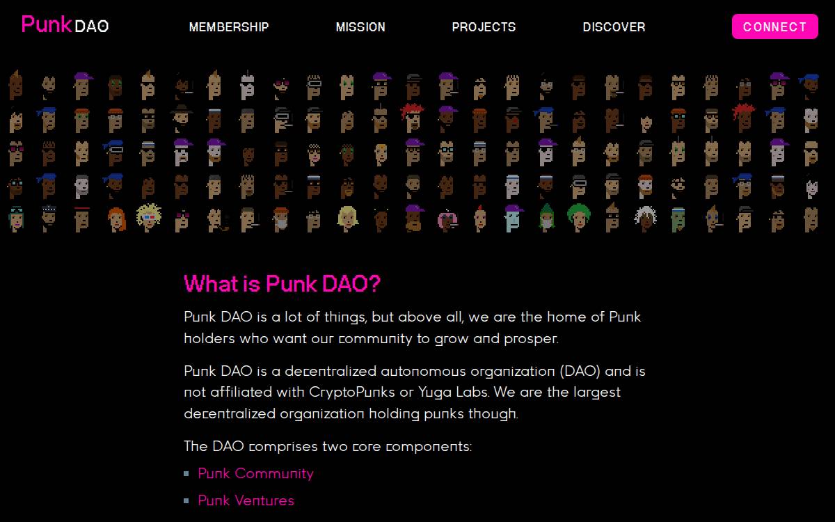 Punk Dao website preview