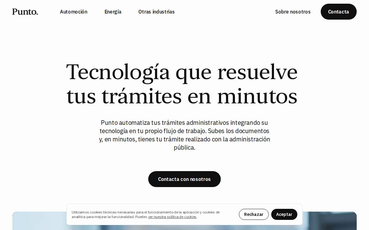 Punto website preview