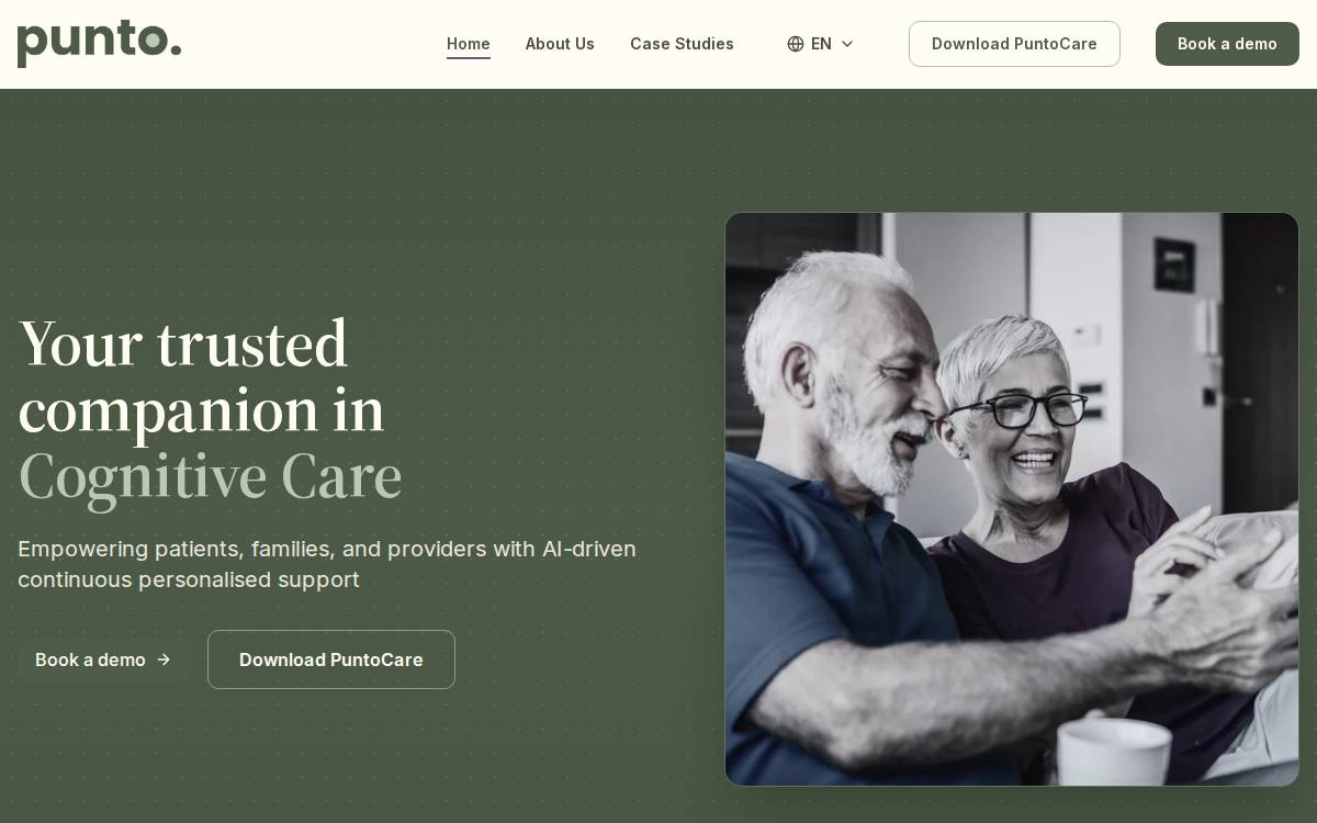 Punto website preview