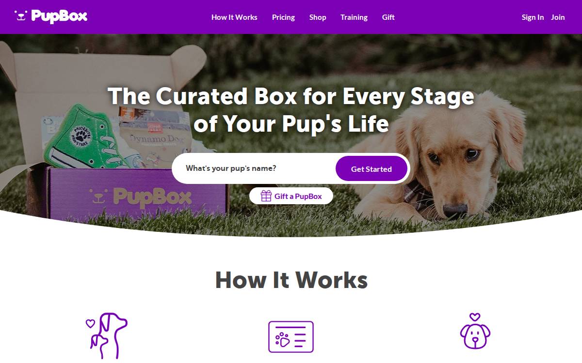 PupBox website preview