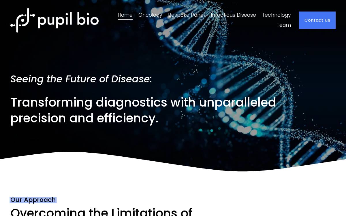 Pupil Bio website preview
