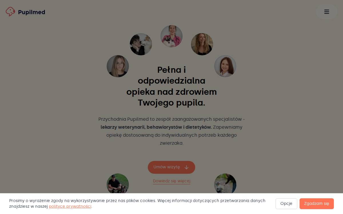 Pupilmed website preview