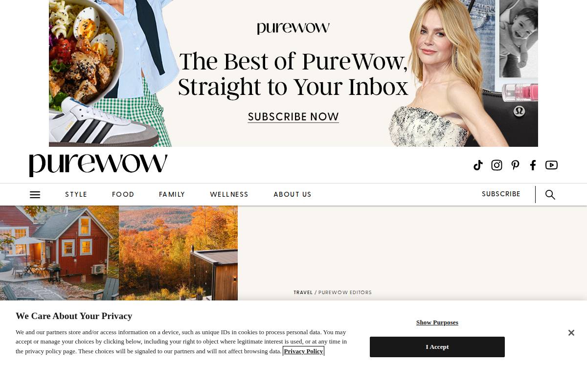 Pure View website preview