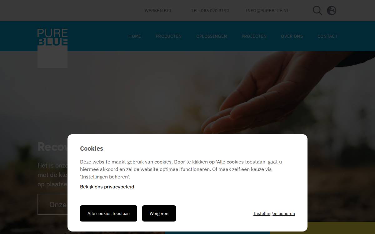 Pureblue website preview