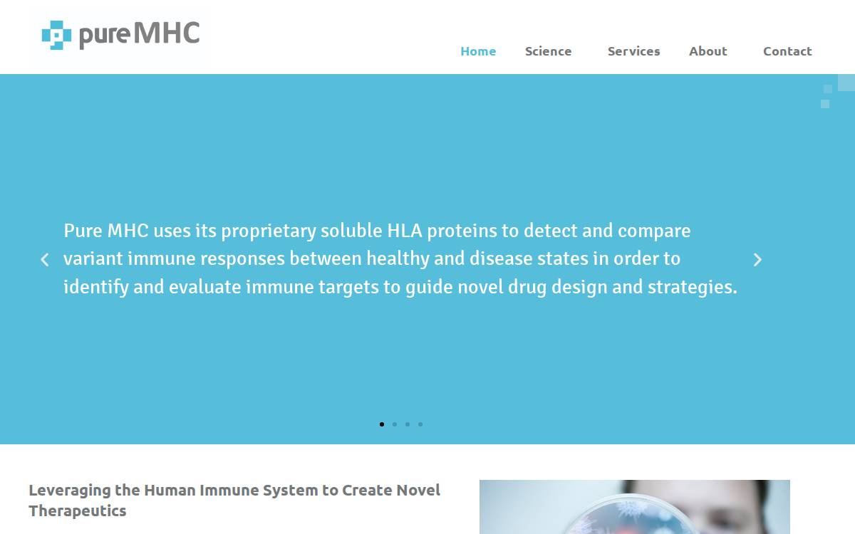 Puremhc website preview
