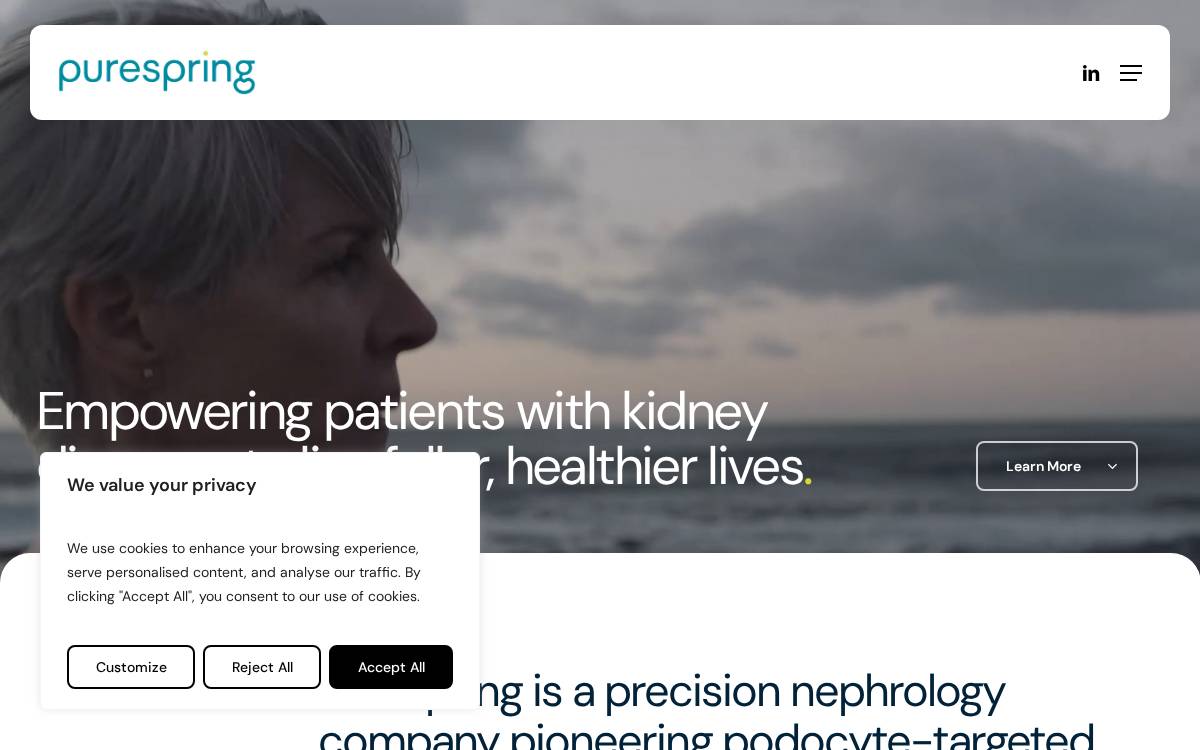 Purespring website preview