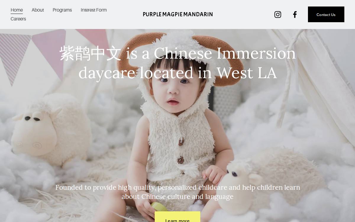 Purple Magpie Mandarin website preview