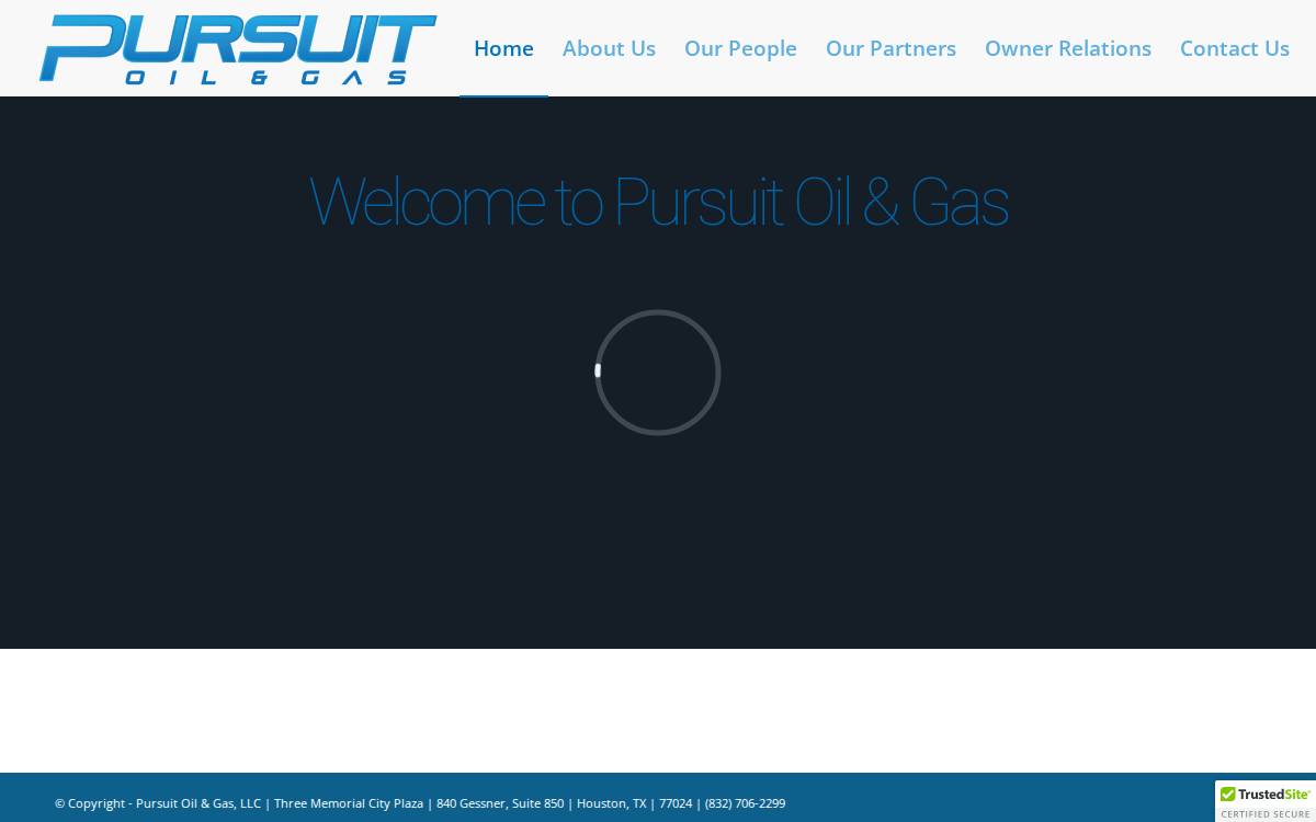 Pursuitog website preview