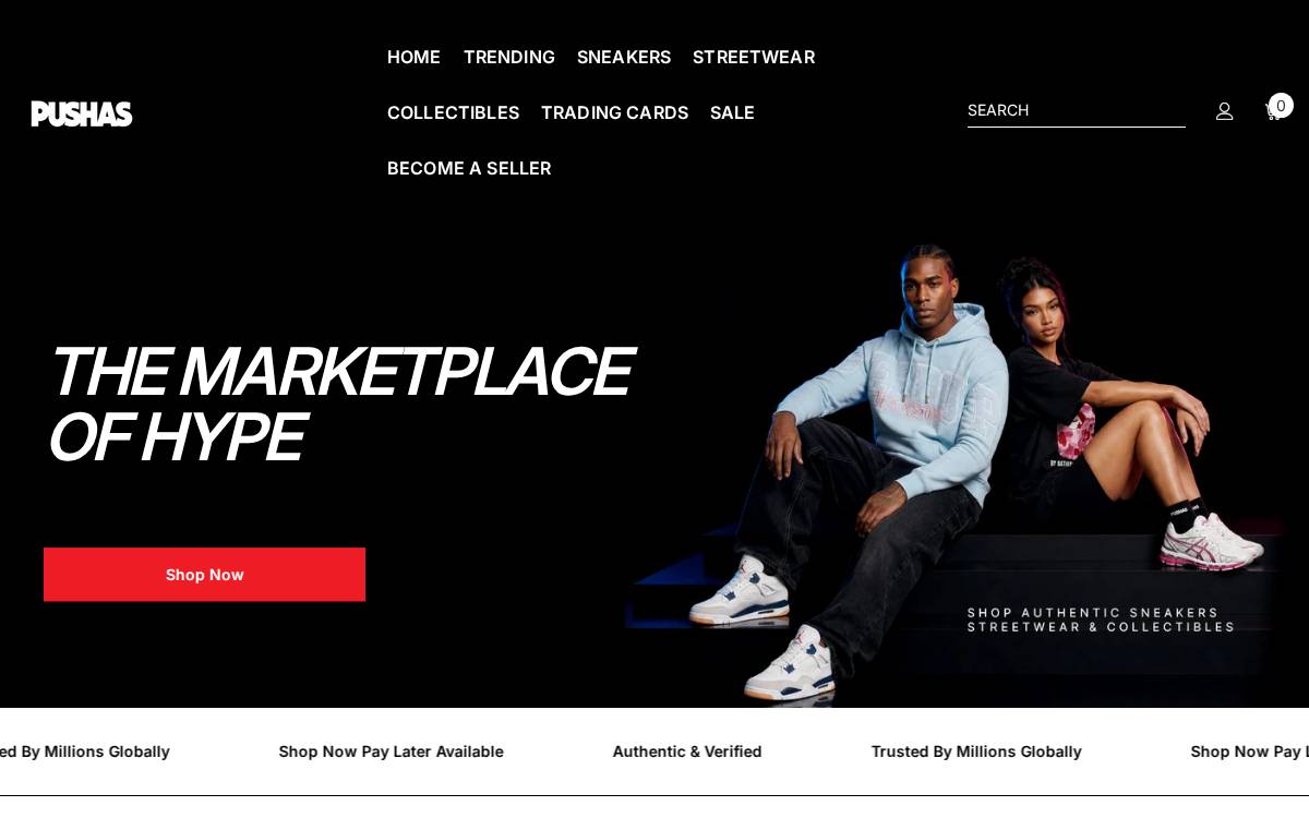 Pushas website preview