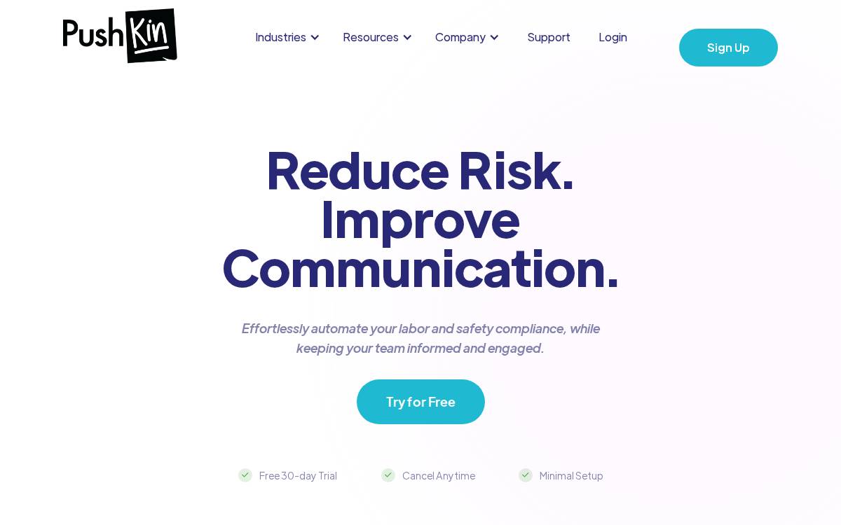 Pushkinapp website preview