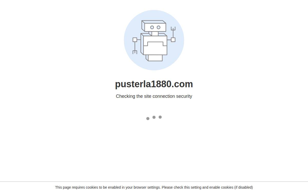 Pusterla 1880 website preview