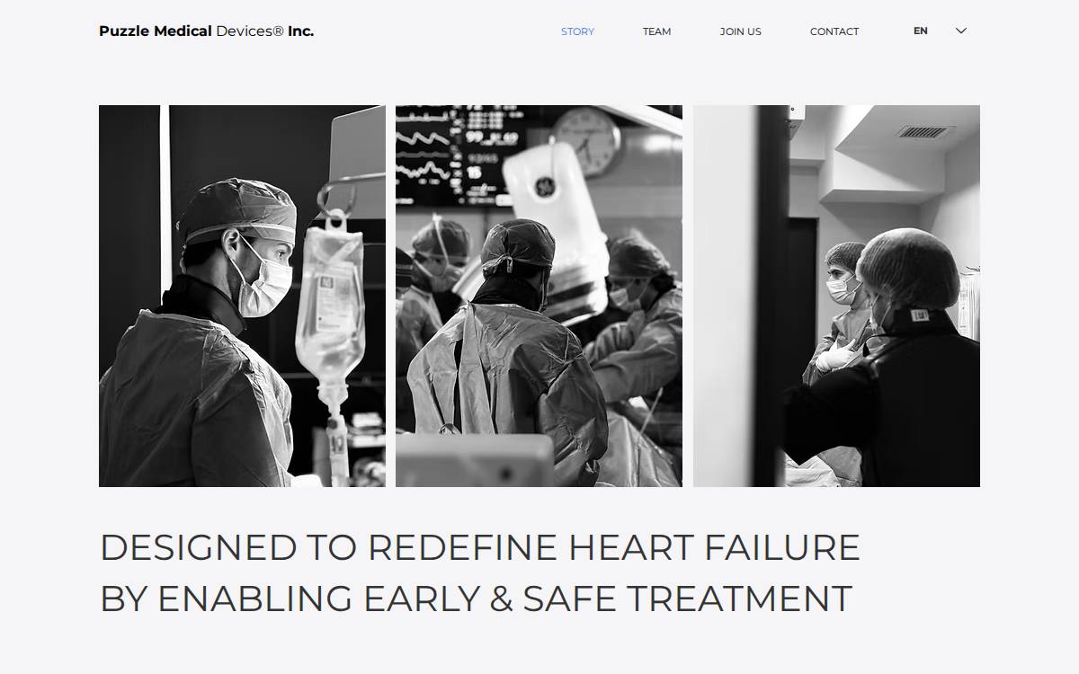 Puzzle Medical website preview