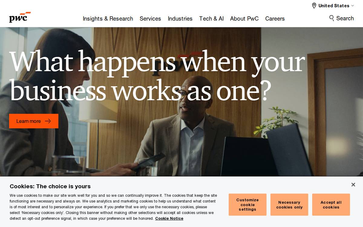 Pwc website preview