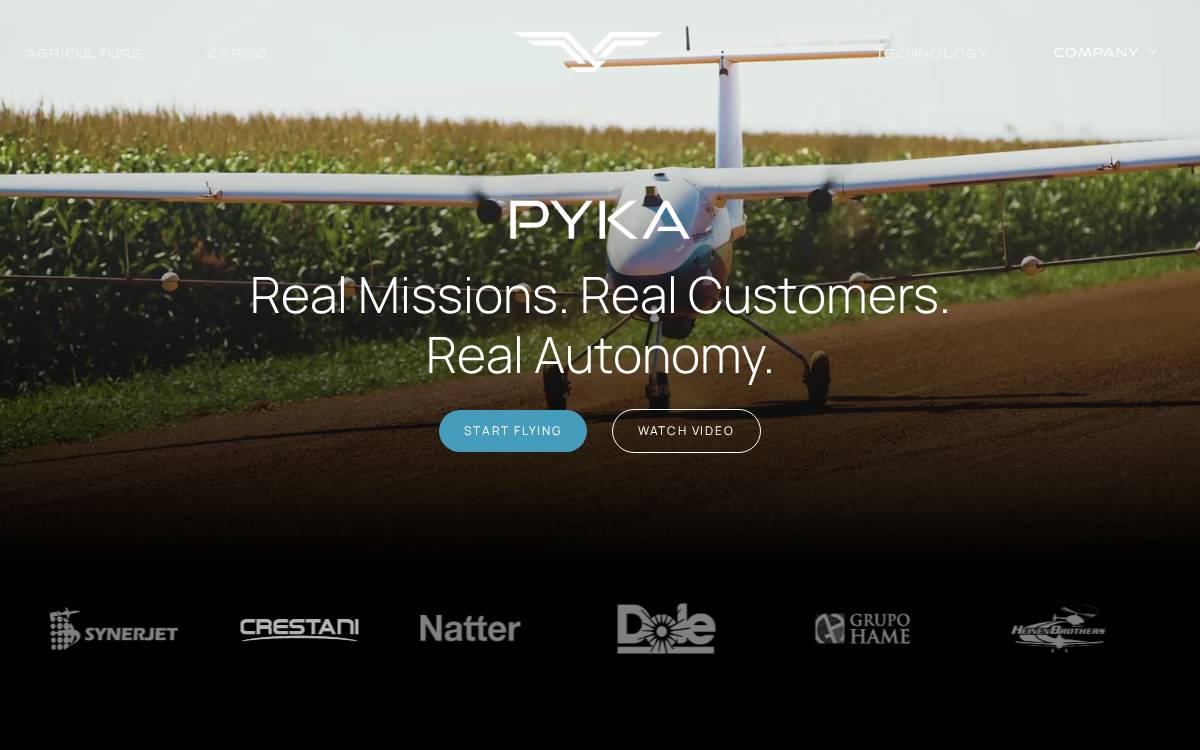 Pyka website preview