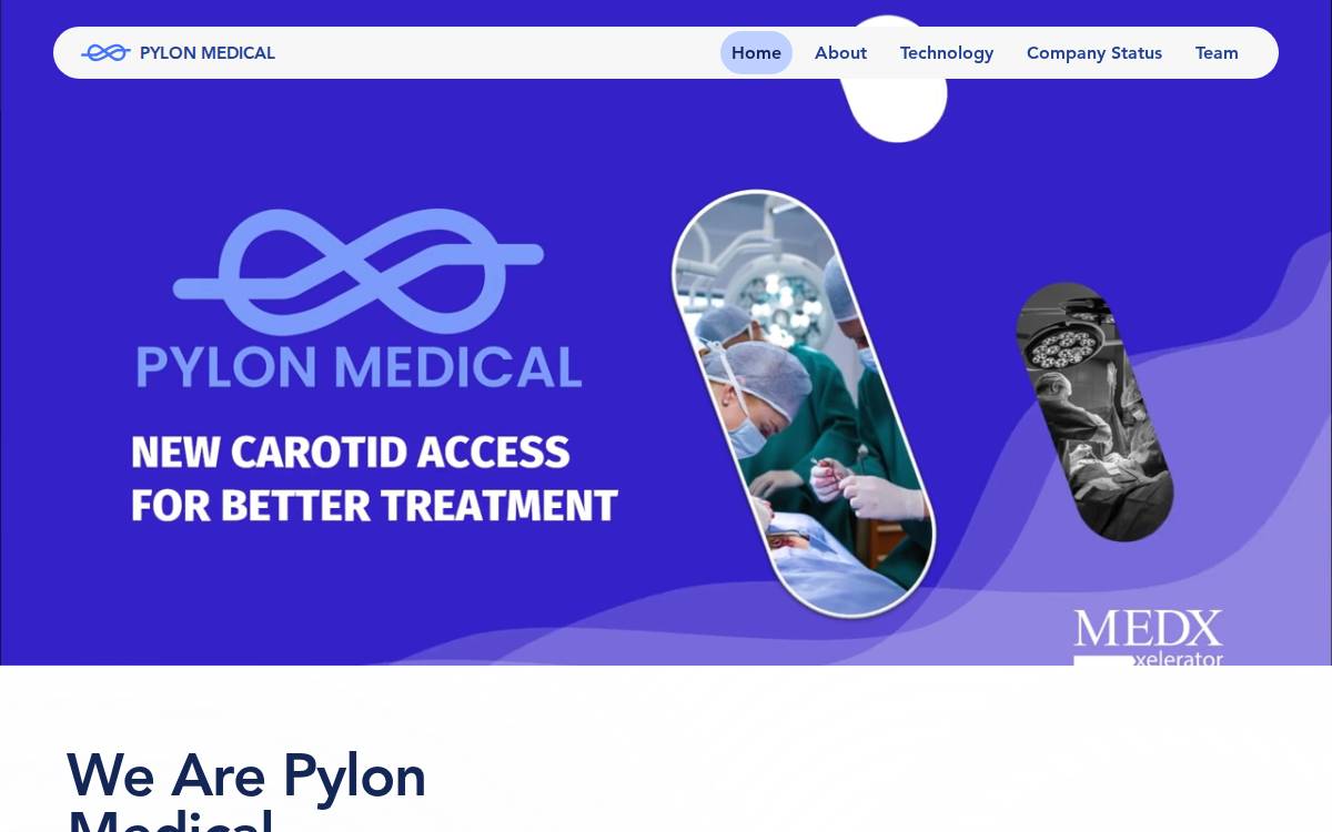 Pylonmedical website preview