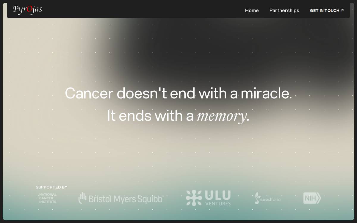 Pyrojas website preview