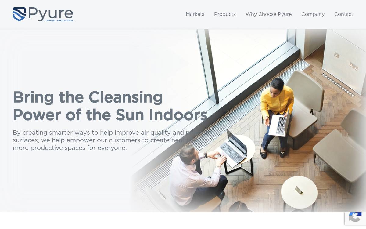 Pyure website preview
