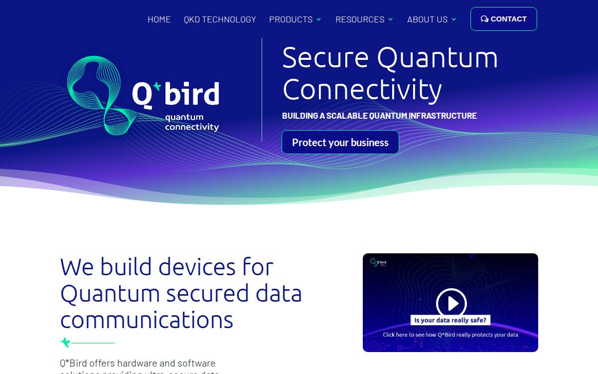 Q*Bird website preview