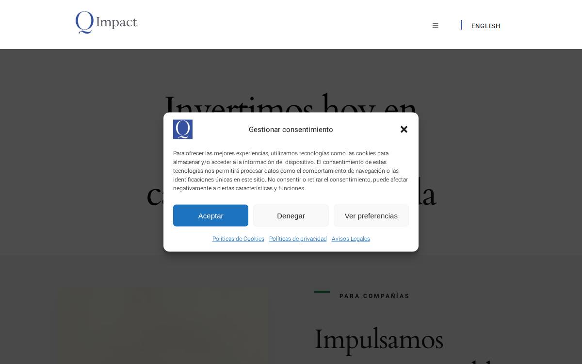 Q Impact website preview