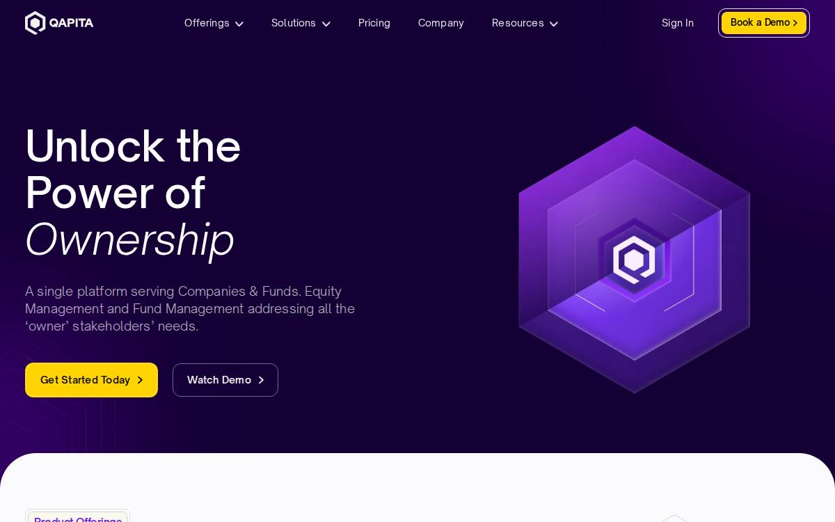 Qapita website preview