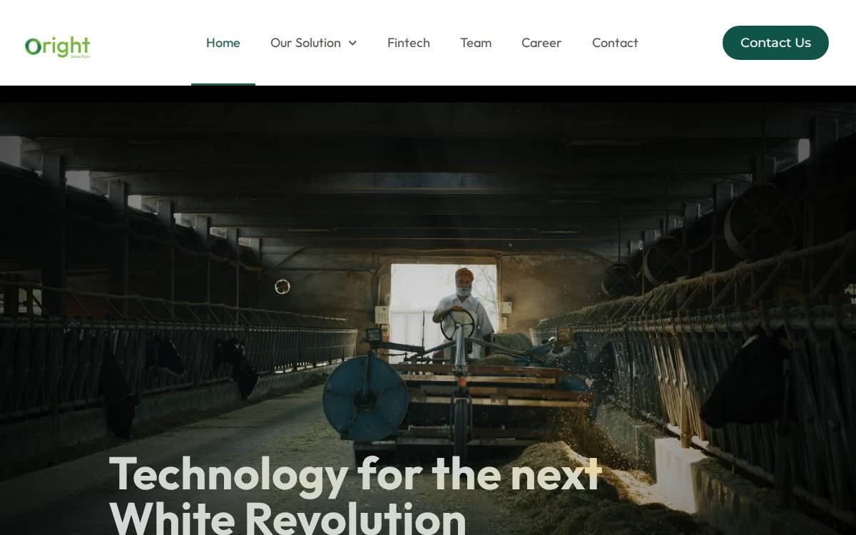 Qboid website preview