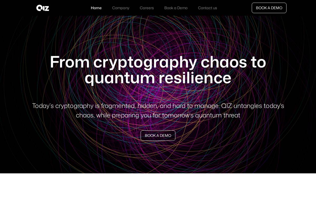 Qizsecurity website preview