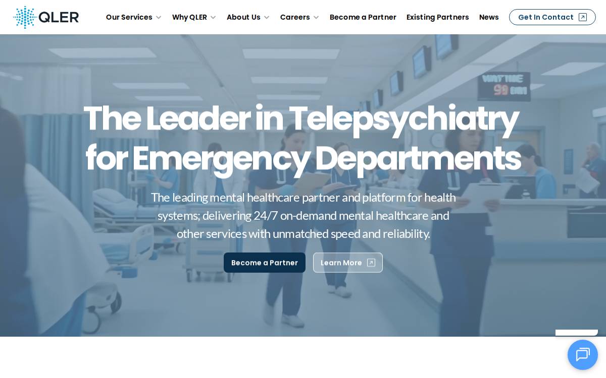 qler Solutions website preview