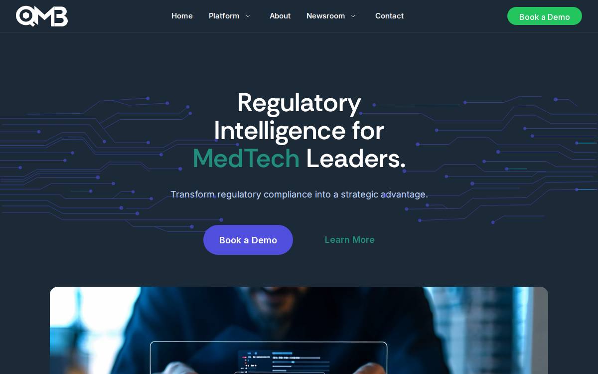 Qmb website preview