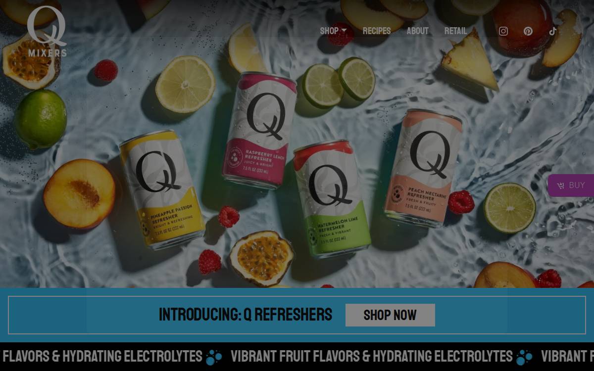 QMixers website preview