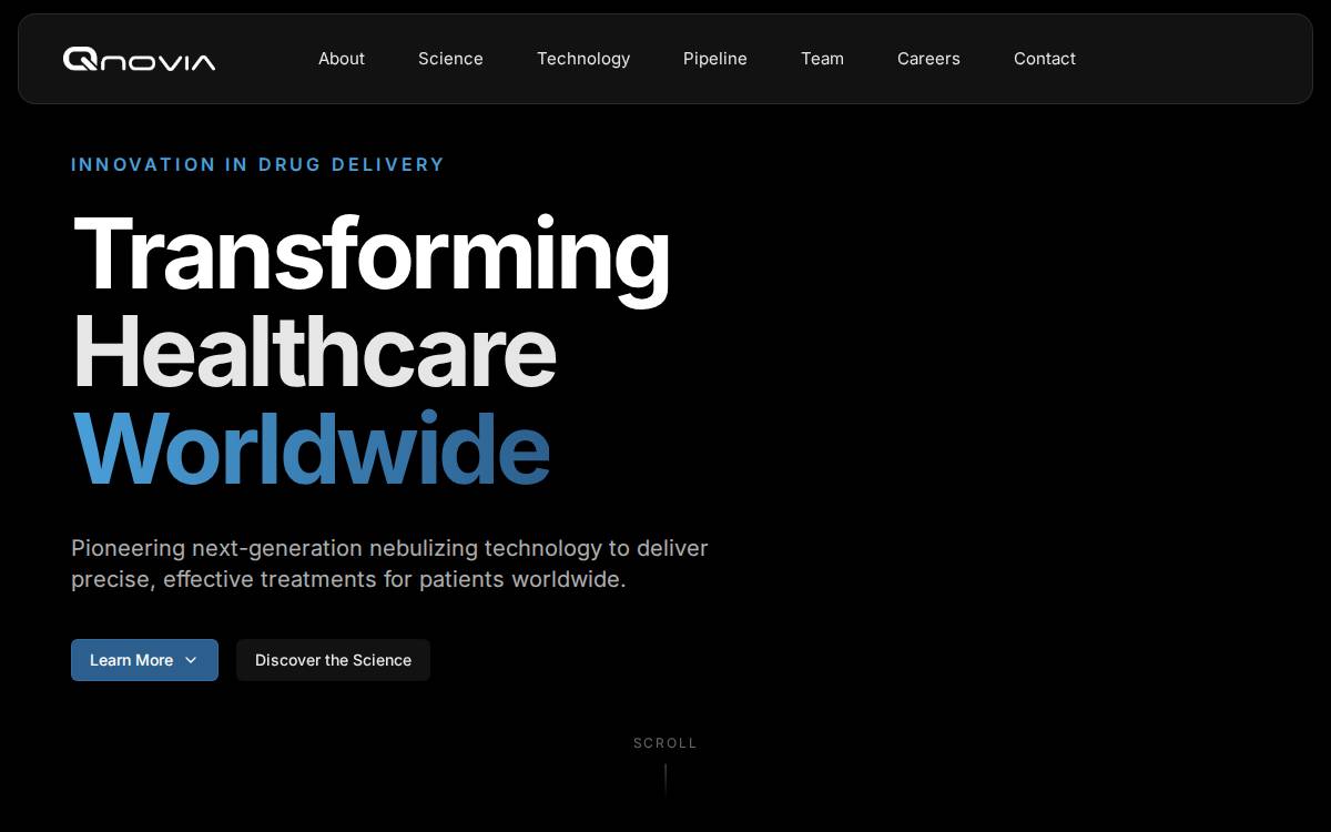 Qnovia website preview