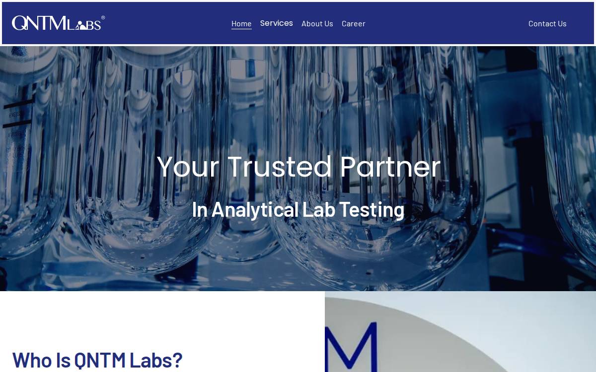 Qntmlabs website preview