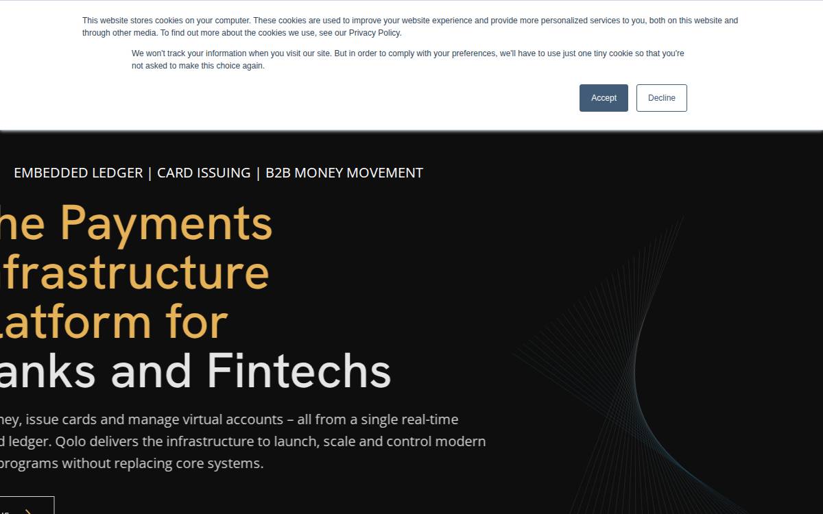 qolo website preview