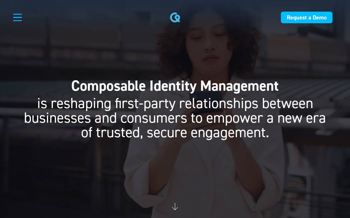 Qonsent website preview