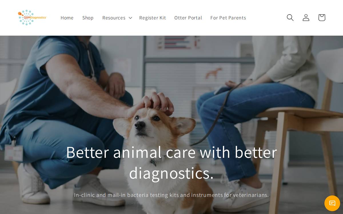 QSM Diagnostics website preview