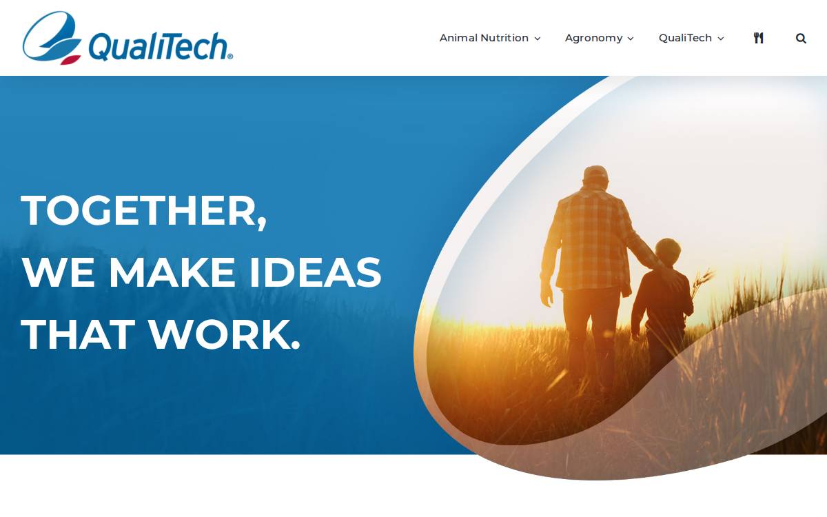 QualiTech website preview