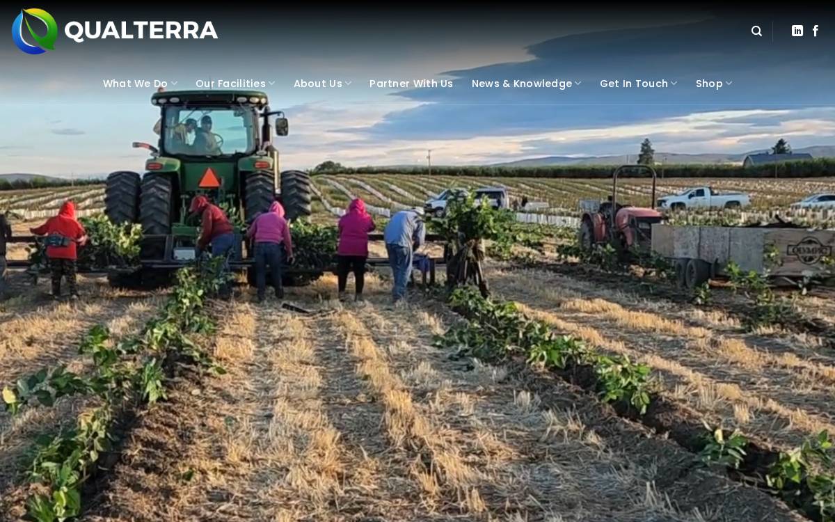 Qualterra website preview