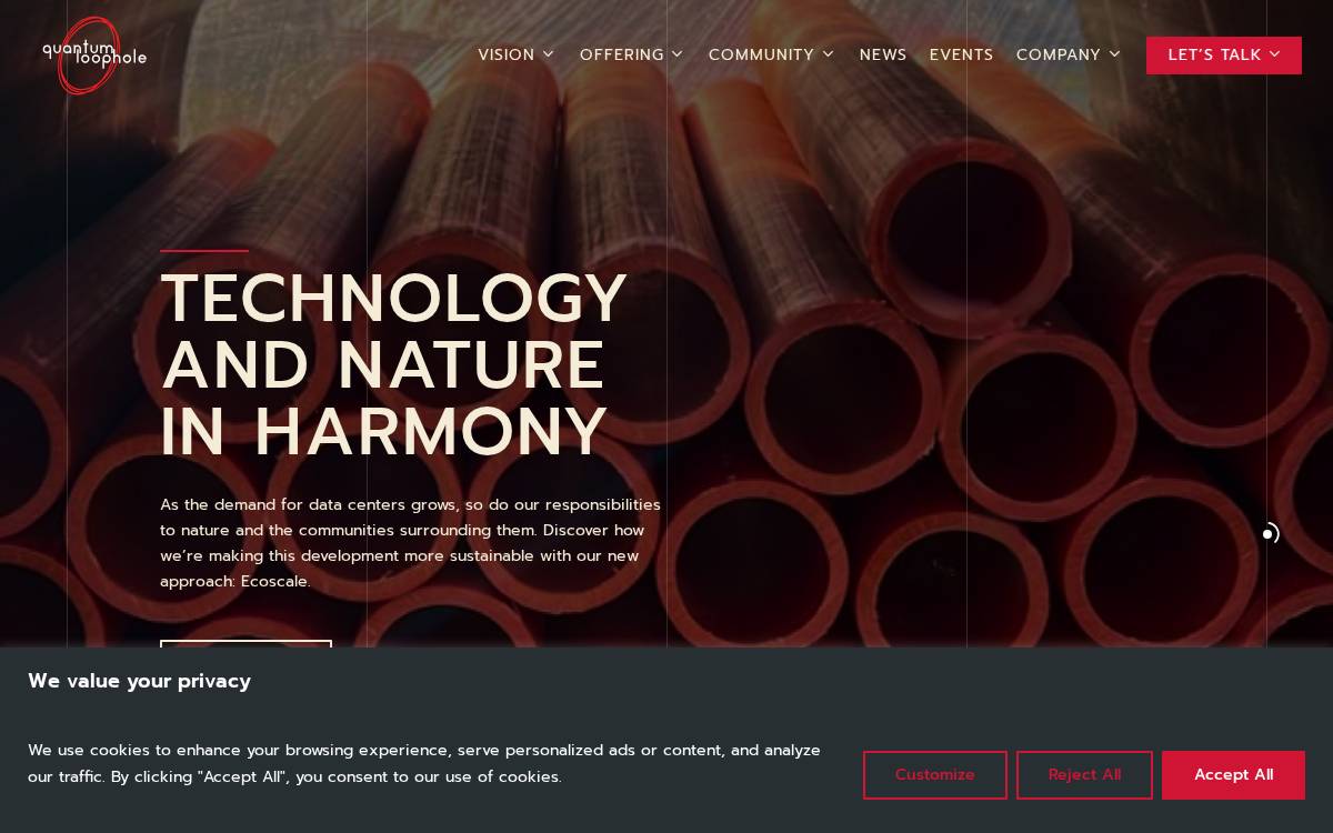Quantum Loophole website preview